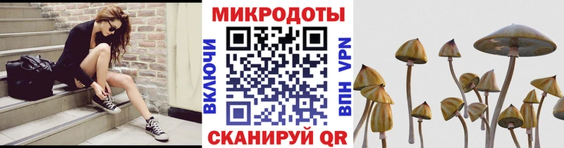 продажа наркотиков  Крым  Псилоцибиновые грибы GOLDEN TEACHER 